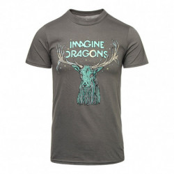 Official Imagine Dragons...